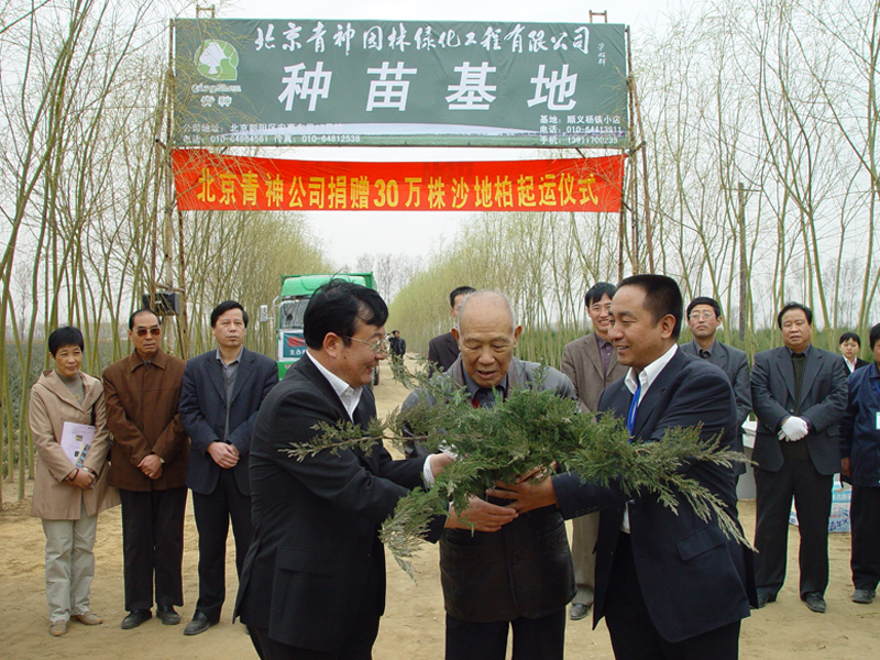 北京一企業(yè)向內(nèi)蒙古捐贈(zèng)30萬(wàn)株沙地柏苗木